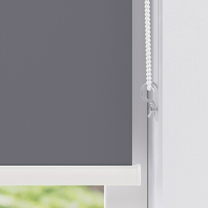 Expo Ambiente Rollo mit Kassette (B x H: 100 x 175 cm, Grau)