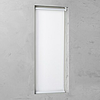 Rollo Basic (B x H: 100 x 175 cm, Weiß, Uni, Tageslichtdurchlässig)