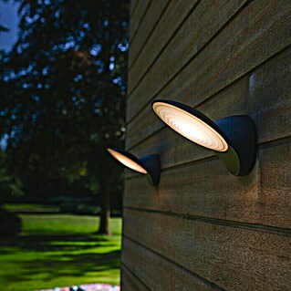 Lutec Aplique exterior LED Tona (9 W, 19 x 18 x 14,1 cm, Antracita, Opal, IP44)