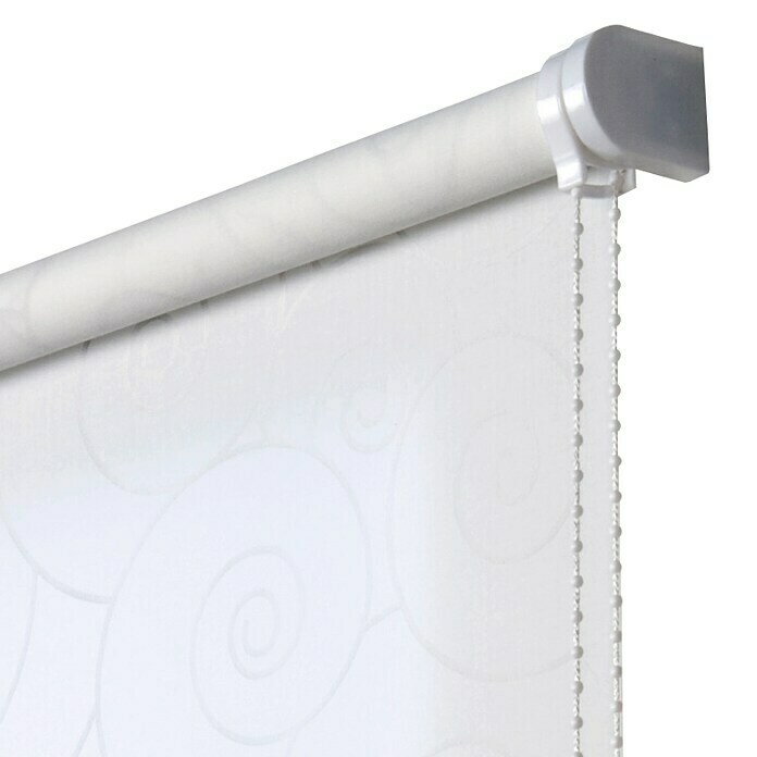 Estor enrollable Roll-up (An x Al: 100 x 250 cm, Blanco, Traslúcido)