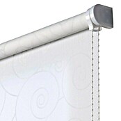 Estor enrollable Roll-up (An x Al: 140 x 250 cm, Blanco, Traslúcido)