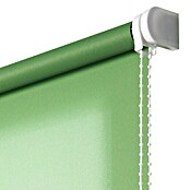 Estor enrollable Roll-up  (An x Al: 160 x 250 cm, Hierba, Traslúcido)