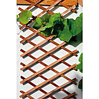 Bellissa Drvena mreža za biljke penjačice (270 x 45 cm, Smeđe boje)