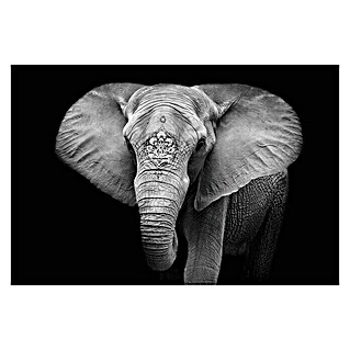 Póster Elefante (Naturaleza, An x Al: 65 x 45 cm)