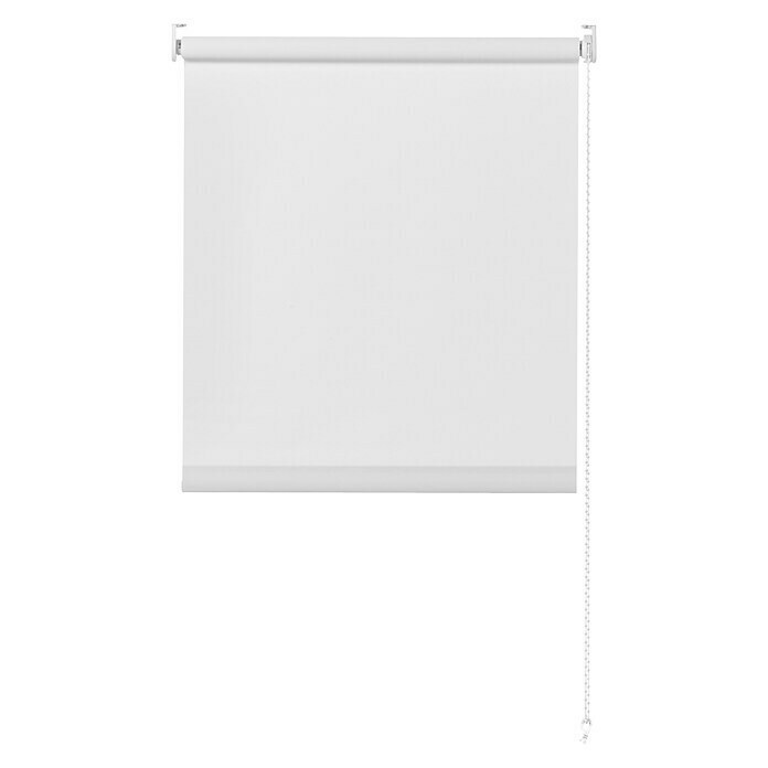 Rollo Basic (B x H: 80 x 175 cm, Weiß, Tageslichtdurchlässig)