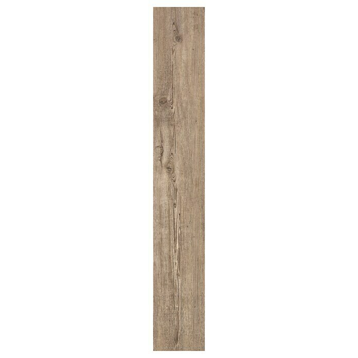 Decolife Vinylboden Tuscan Pine (1.220 x 185 x 10,5 mm, Landhausdiele)