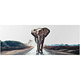 Spiegel Elefant (140 x 50 cm, Bunt)