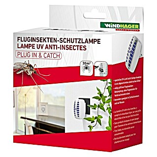 Windhager Insektenvernichter Plug In&Catch (1 000 V, Wirkungsbereich: 30 m²)