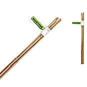 Nortene Štap od bambusa (Duljina: 210 cm)