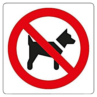 Pickup Etiqueta adhesiva (Motivo: Prohibido el paso a perros, L x An: 7,5 x 7,5 cm)
