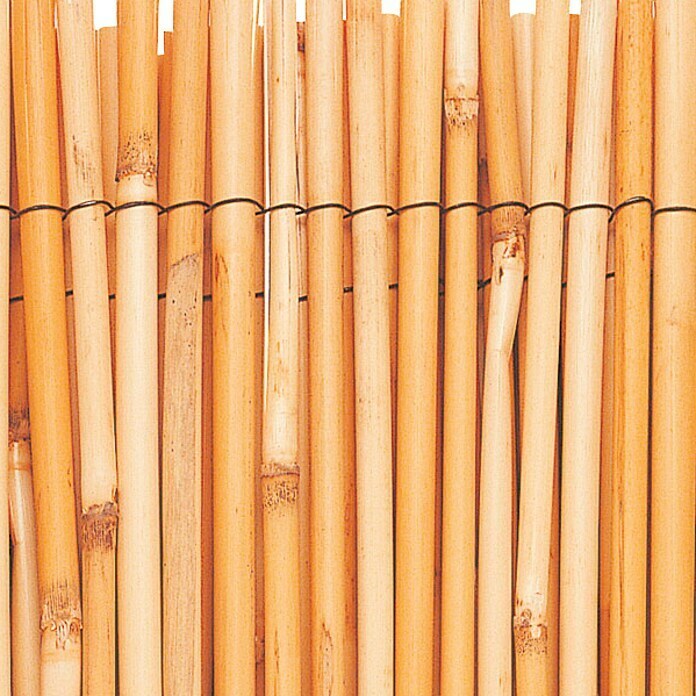 Ocultación de bambú Reedcane (L x Al: 5 x 1 m)