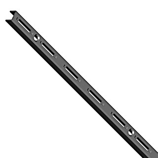 Element System Guía para la pared EL 50 (Largo: 100 cm, Específico para: Soporte con trama de 50 mm, Sistema de un solo orificio, Negro)