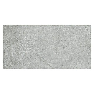 Feinsteinzeugfliese Beton Tendance (30 x 60 cm, Grau, Glasiert)