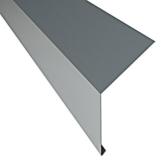Schürze für Dachrinne PP12 (Grau, Länge: 100 cm, Stahl)