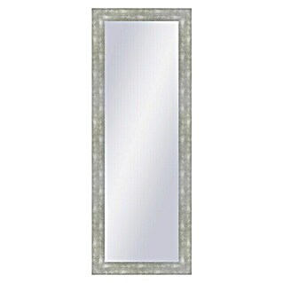 Espejo Gris plata (54 x 144 cm, Gris)