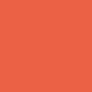 Moosgummi (Orange, L x B x H: 30 cm x 20 cm x 2 mm)