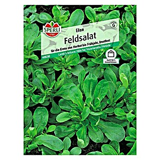 Sperli Salatsamen Feldsalat (Elan, Valerianella locusta, Erntezeit: Mai - November)