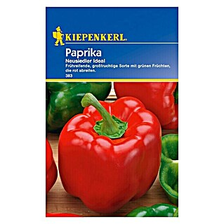 Kiepenkerl Gemüsesamen Paprika (Capsicum annuum, Erntezeit: Juli - Oktober, Neusiedler Ideal)