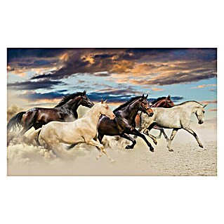 Fototapete Mustangs (B x H: 312 x 219 cm, Vlies)