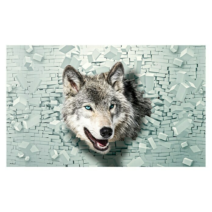 Fototapete Wolf-Wand 