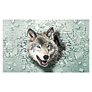 Fototapete Wolf-Wand (B x H: 416 x 254 cm, Vlies)