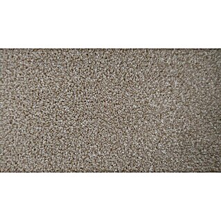 Classis Carpets Teppichboden Meterware Madras (Breite: 400 cm, Taupe, 100 % Polypropylen)