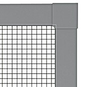Windhager Insektenschutzfenster Ultra Flat (B x H: 100 x 120 cm, Anthrazit, Schnellmontagefedern)
