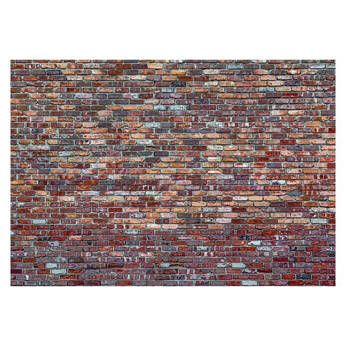 Fototapete Mauer II (312 x 219 cm, Vlies)