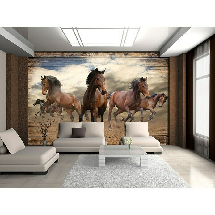 Fototapete Pferde (368 x 254 cm, Vlies)