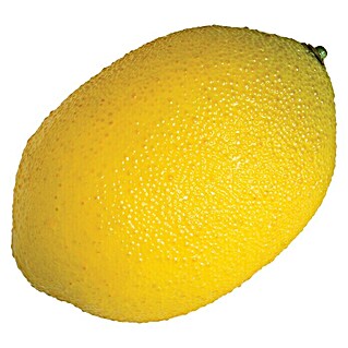 Figura decorativa Limón rugoso (L x An x Al: 9 x 6 x 6 cm, Plástico)