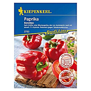 Kiepenkerl Profi-Line Gemüsesamen Blockpaprika (Bendigo, Capsicum annuum, Erntezeit: August - Oktober)