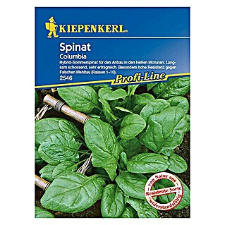 Kiepenkerl Profi-Line Gemüsesamen Spinat Columbia (Spinacia oleracea, Erntezeit: Juni - September)