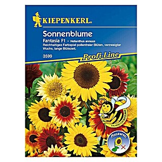 Kiepenkerl Profi-Line Blumensamen Sonnenblume (Fantasia Mix, Helianthus annuus, Blütezeit: Juli)