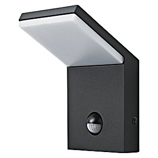 Starlux Aplique exterior LED con sensor Genova (9,5 W, L x An x Al: 105 x 100 x 164 mm, Gris plata, Opal, Blanco cálido)