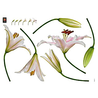 Wandtattoo (Lilien, 48 x 68 cm)