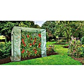 Invernadero para tomateras (198 x 75 x 169 cm, Lámina de PE)