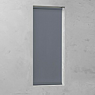 Expo Ambiente Rollo Mini (B x H: 100 x 150 cm, Grau, Tageslichtdurchlässig)