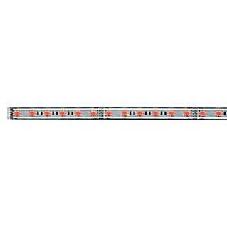 Paulmann LED-Band MaxLED RGB (1 m, RGB-Farbsteuerung, RGB, 13,5 W, Flexibel, Silber)