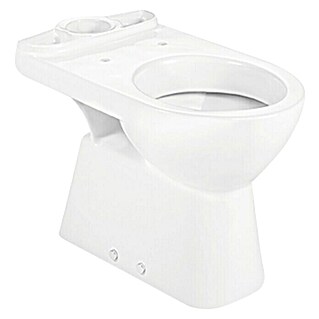 Roca Access Taza de WC (Salida WC: Vertical, Blanco)