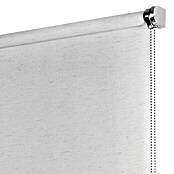Estor enrollable Roll-up Scandi (An x Al: 120 x 180 cm, Gris/Blanco, Traslúcido)