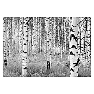Komar Into Illusions Fototapete Woods (4 -tlg., B x H: 368 x 248 cm, Vlies)