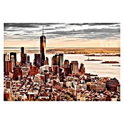 Impresión artística Manhattan vista (Ciudad, 97 x 65 cm)