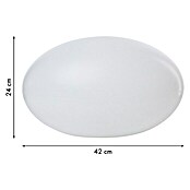 8 Seasons Design Shining LED-Solar-Dekoleuchte Eye (2 W, Weiß, L x B x H: 24 x 42 x 24 cm)