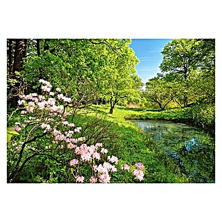 Fotomural Park in spring (An x Al: 366 x 254 cm)