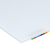 Vetronova Placa de vidrioplástico Lisa (200 cm x 100 cm x 2,5 mm, Poliestireno, Blanco)
