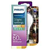 Philips Bombilla LED atenuable (8 W, E27, Color de luz: Blanco cálido, No regulable, Redondeada)