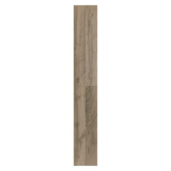 LOGOCLIC Laminat Edition Family Cozy Oak (1.285 x 192 x 7 mm, Rustikalni pod)