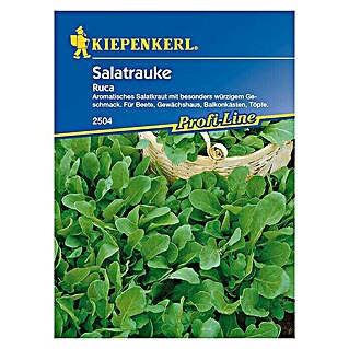 Kiepenkerl Profi-Line Gemüsesamen Rucola (Eruca sativa, Erntezeit: März - August)
