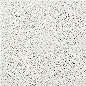 Terrassenplatte Bianco Nero (Bianco Nero, 40 x 40 x 4 cm, Beton, 2D Optik)