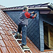 Krause Dachleiter (Länge: 2,25 m, 8 Sprossen, Holzart Holme: Schichtholz, Material Sprossen: Aluminium)